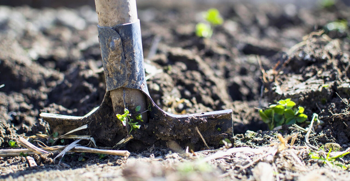 Spade digging